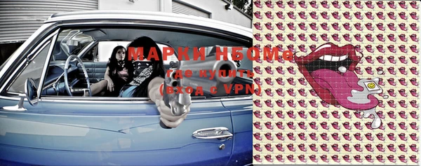 apvp Алзамай