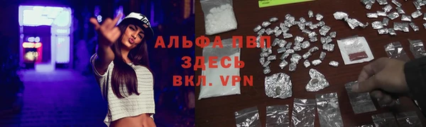 apvp Алзамай