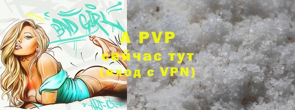 apvp Алзамай